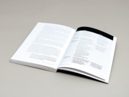 Perspectives_HafenCity-Universitaet-Hamburg,-jovis,-bseiten,-Katrin-Bahrs,-Grafikdesign-Hamburg_#00